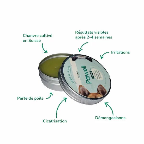 Baume au CBD pour Chat & Chien 🐶🐱 - La Maison Du Canab