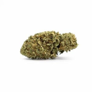 Biscotti - Fleurs de CBD 🍪 - La Maison Du Canab