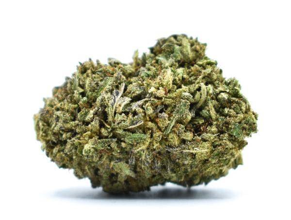 Biscotti - Fleurs de CBD 🍪 - La Maison Du Canab