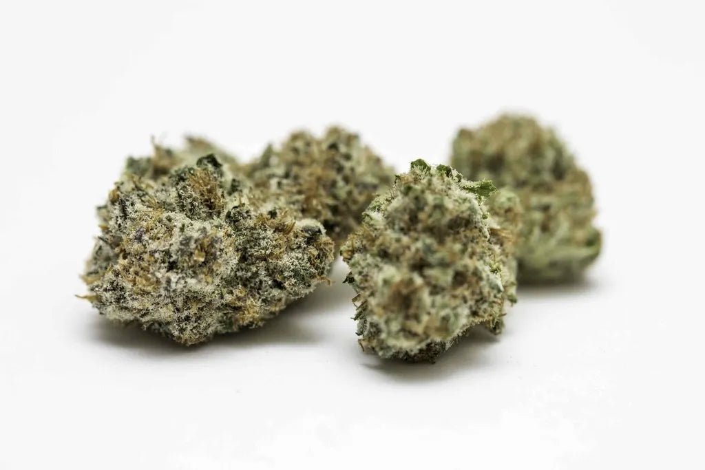 Bleu Cheese - Fleurs de CBD 🧀 - La Maison Du Canab