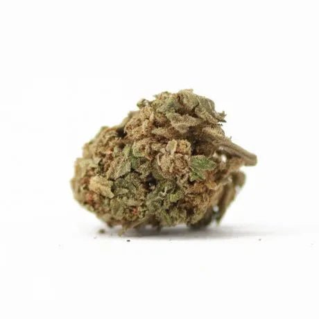 Cherry Pie - Fleurs de CBD đ - La Maison Du Canab