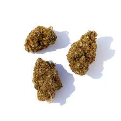 Cherry Pie - Fleurs de CBD đ - La Maison Du Canab