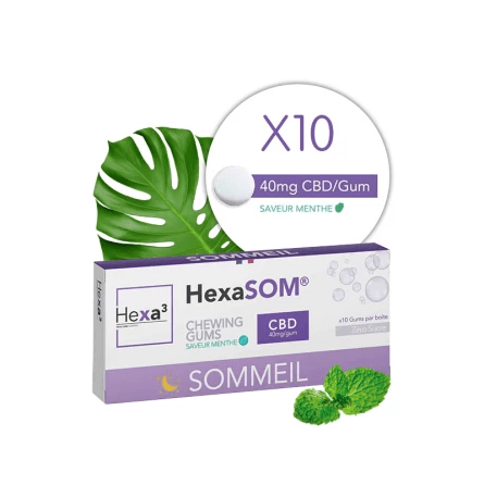 Chewing - gums CBD Sommeil 🌙💤 - La Maison Du Canab