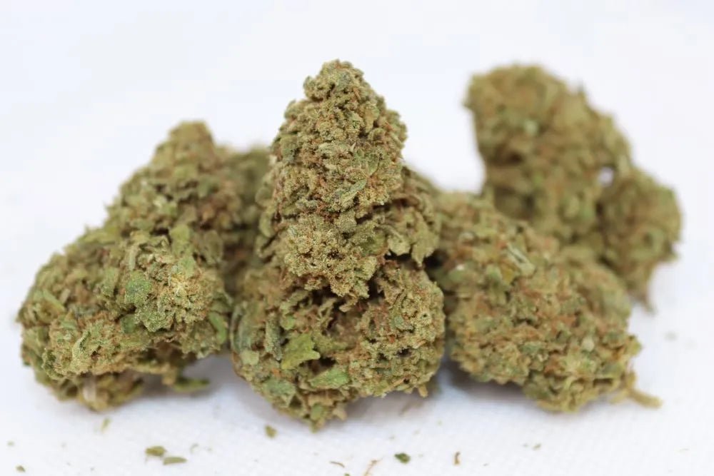 Gorilla Glue - Fleurs de CBD 🦍🌿 - La Maison Du Canab