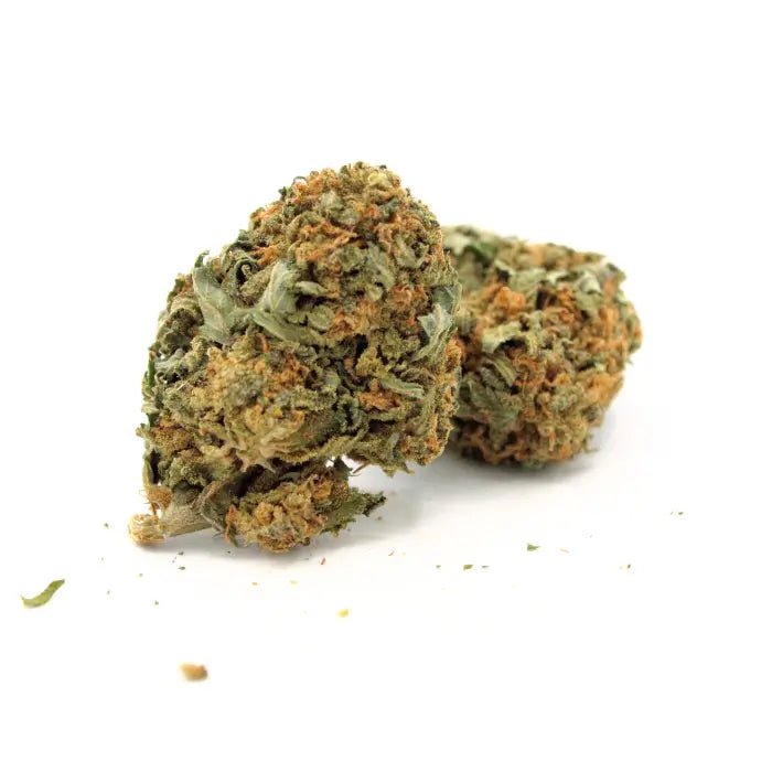 HARLEQUIN - Fleurs de CBD 🌿 🍋 - La Maison Du Canab