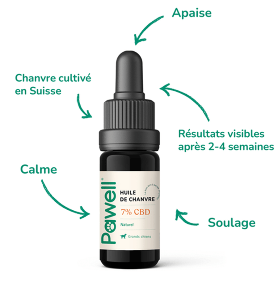 Huile CBD Pawell pour Chat 🐱 - La Maison Du Canab