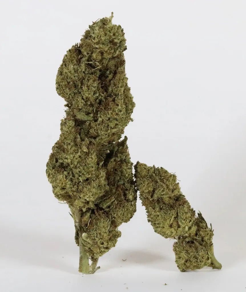 Lemon Haze - Fleurs de CBD 🍋 - La Maison Du Canab