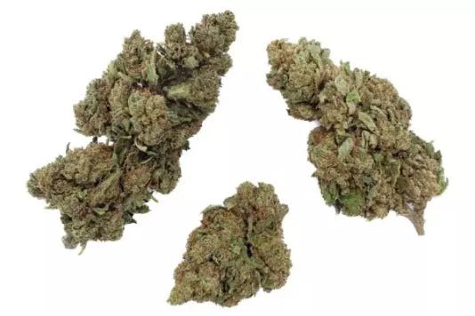 Lifter - Fleurs de CBD 🌱 - La Maison Du Canab