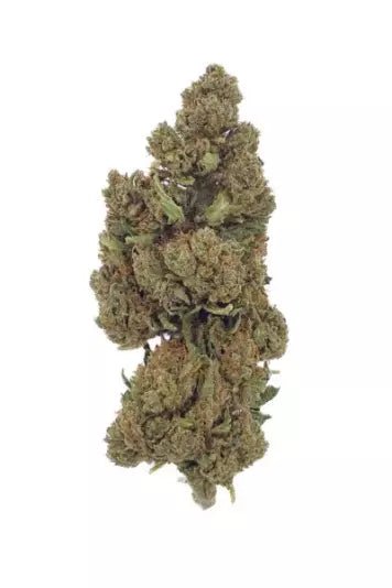 Lifter - Fleurs de CBD 🌱 - La Maison Du Canab