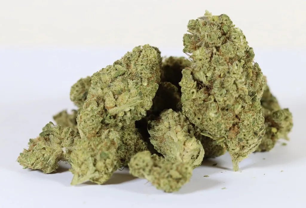 Mango Kush - Fleurs de CBD 🥭 - La Maison Du Canab