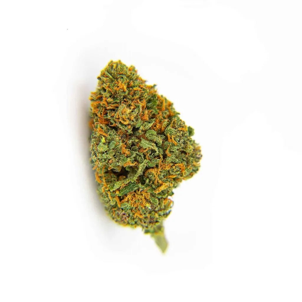 Orange Bud - Fleurs de CBD 🍊 - La Maison Du Canab