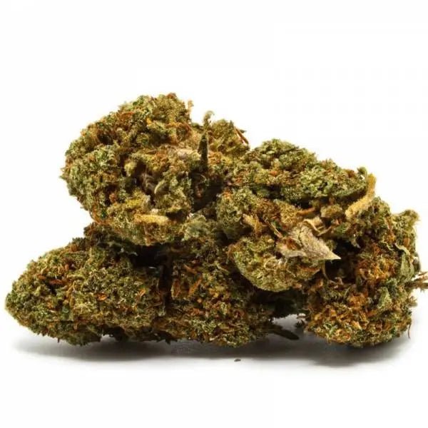 Orange Bud - Fleurs de CBD 🍊 - La Maison Du Canab