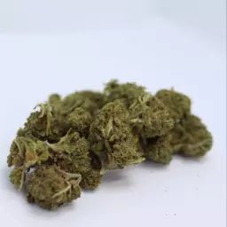 Sour Tsunami - Fleurs de CBD 🌿 - La Maison Du Canab
