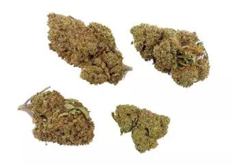 Sour Tsunami - Fleurs de CBD 🌿 - La Maison Du Canab