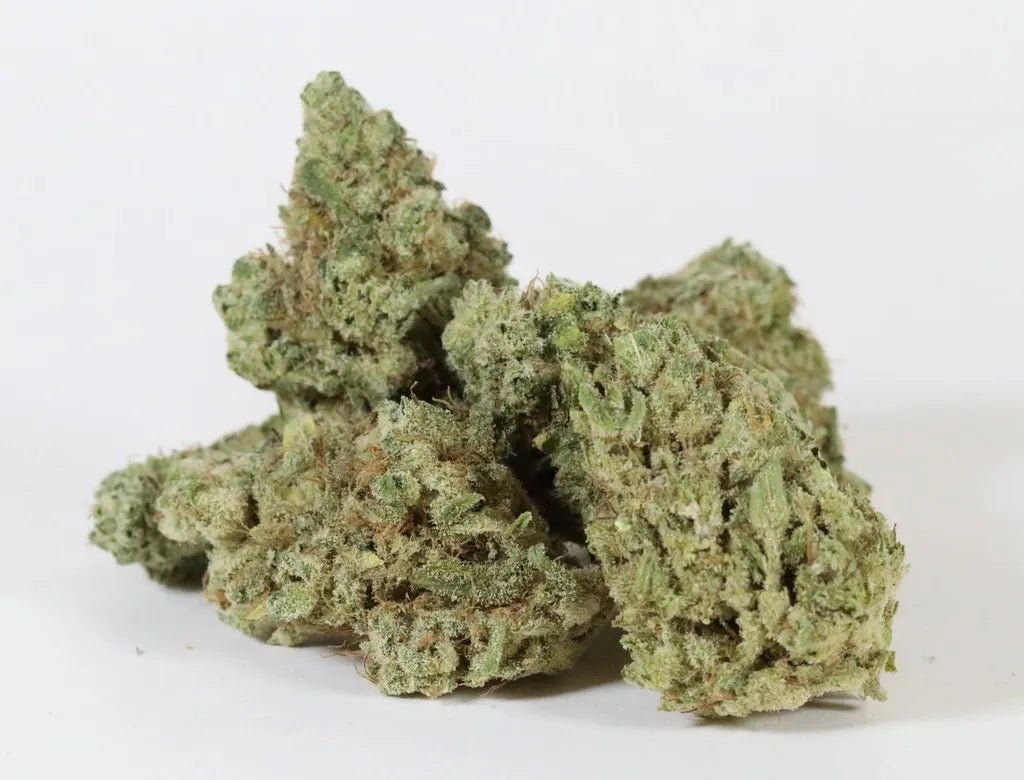 Sunset Sherbet - Fleurs de CBD 🌅🌿 - La Maison Du Canab