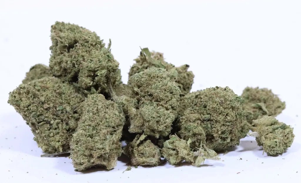 White Widow - Fleurs de CBD 🌿 - La Maison Du Canab