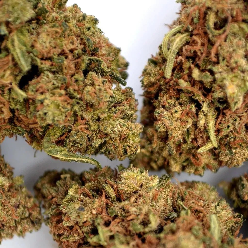 White Widow - Fleurs de CBD 🌿 - La Maison Du Canab