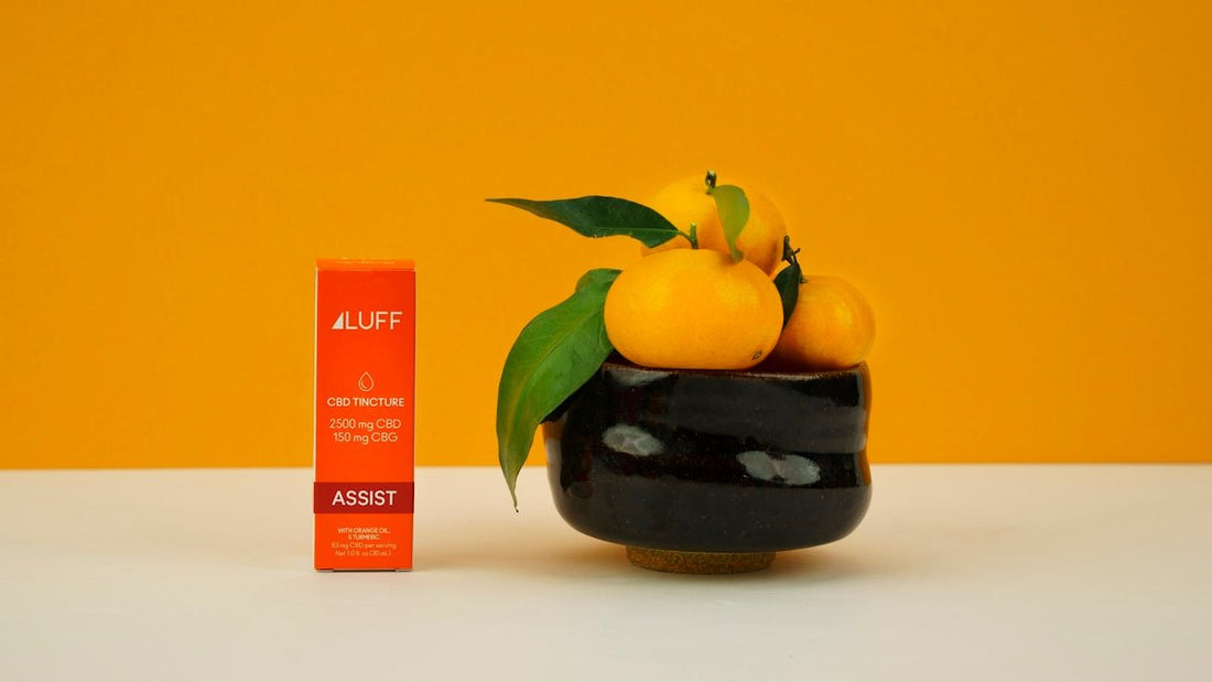 Avantages d'ajouter le CBD à votre routine d'exercice - La Maison Du Canab