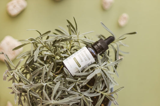 CBD : découverte des nouvelles applications en 2026 - La Maison Du Canab