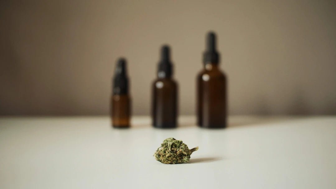 CBD, THC et autres cannabinoïdes : Faites le bon choix - La Maison Du Canab