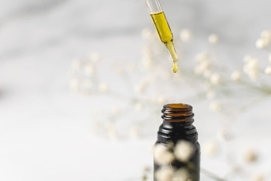 Dix raisons d’adopter le CBD dans votre quotidien - La Maison Du Canab