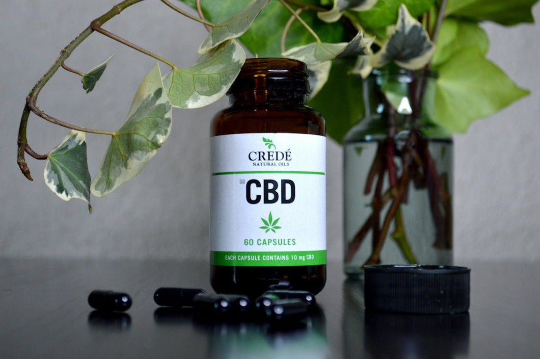 Les bienfaits essentiels du CBD pour un mode de vie équilibré - La Maison Du Canab