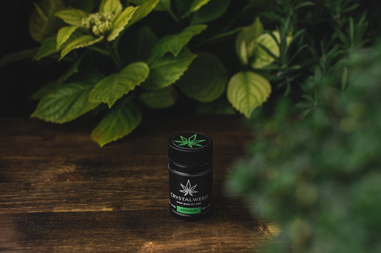 Tout savoir sur le CBD et ses effets en 10 questions - La Maison Du Canab
