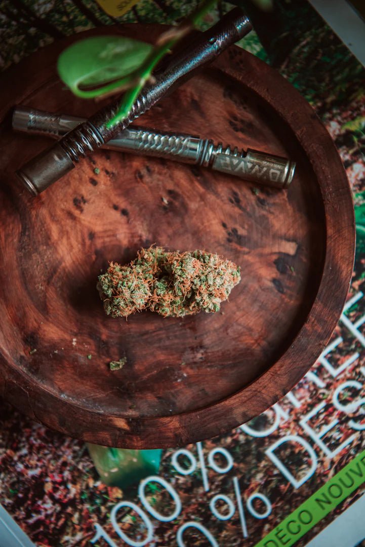 Vapes CBD Fruitées pour un Relaxation Instantanée - La Maison Du Canab