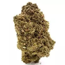 Amnesia Frozen – Fleurs de CBD 