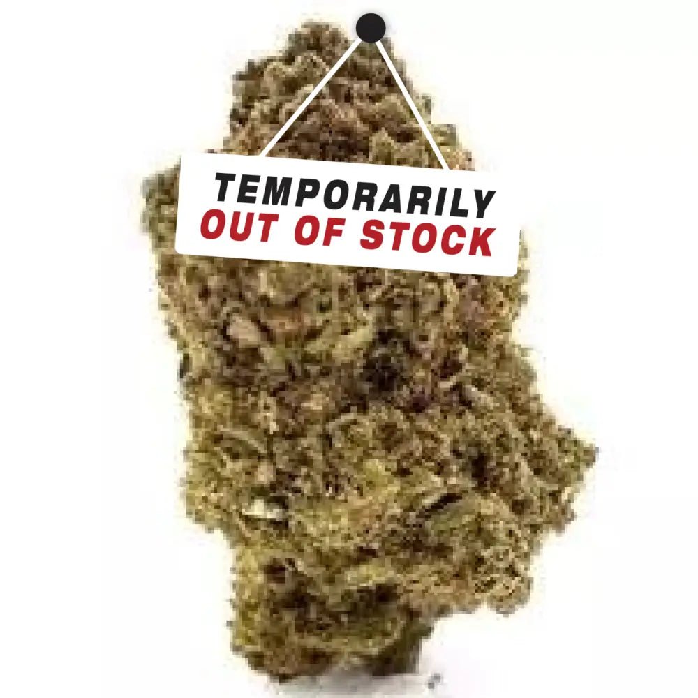 Amnesia Frozen – Fleurs de CBD ❄️ - La Maison Du Canab