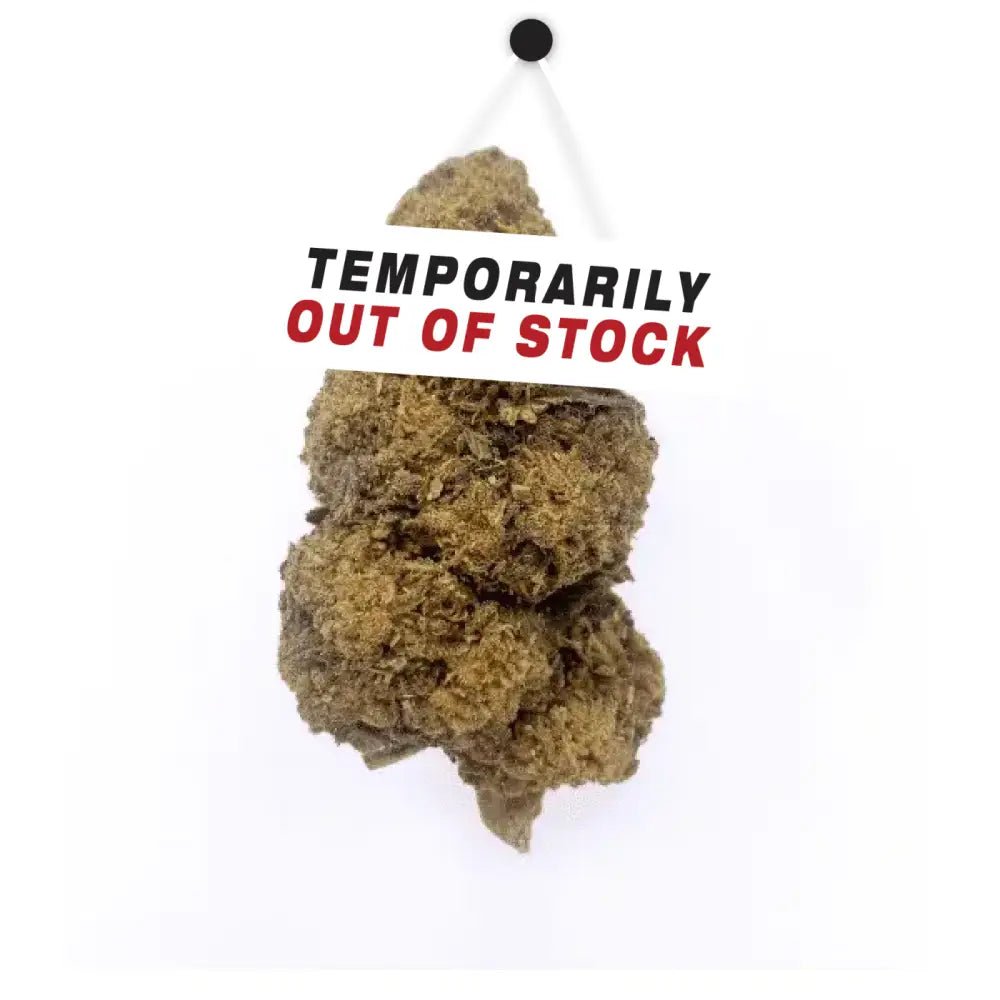 Amnesia Frozen – Fleurs de CBD ❄️ - La Maison Du Canab