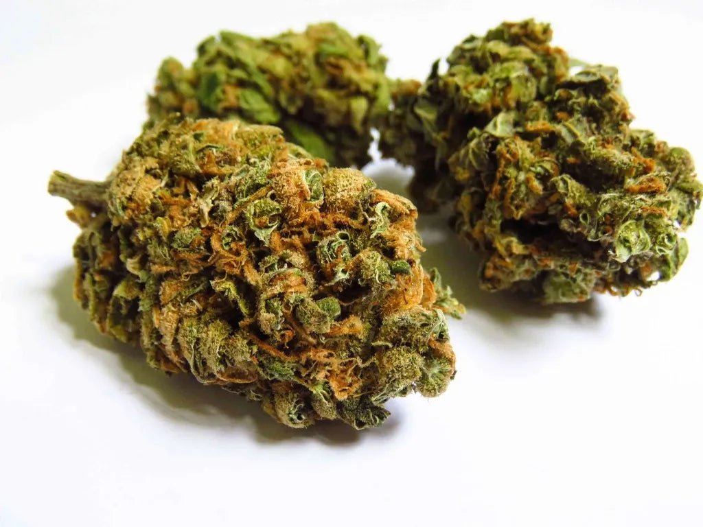 Critical + 2.0 - Fleurs de CBD 🍋🌿 - La Maison Du Canab