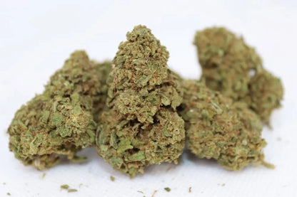 Gorilla Glue - Fleurs de CBD 🦍🌿 - La Maison Du Canab