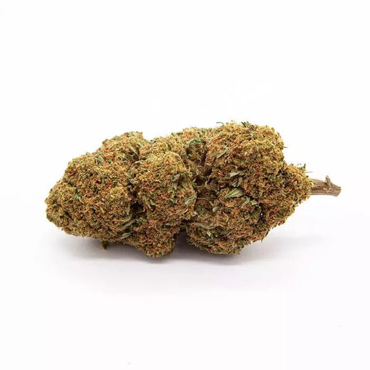 HARLEQUIN - Fleurs de CBD 🌿 🍋 - La Maison Du Canab