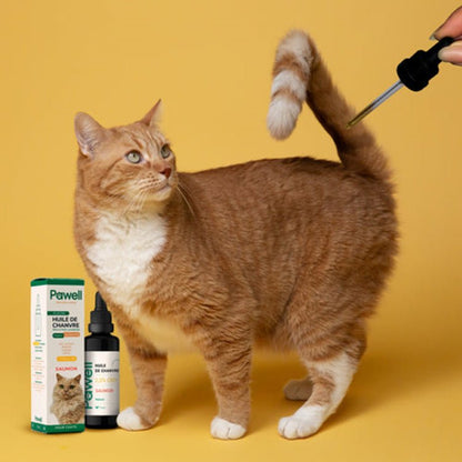 Huile CBD Pawell pour Chat 🐱 - La Maison Du Canab