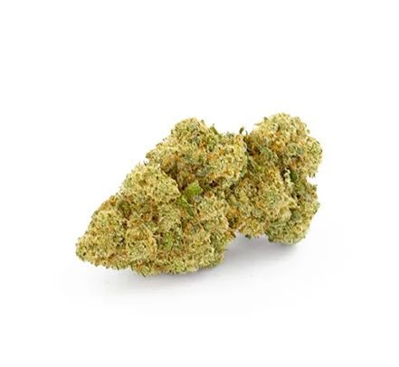 Lemon Skunk - Fleurs CBD 🍋🌿 - La Maison Du Canab