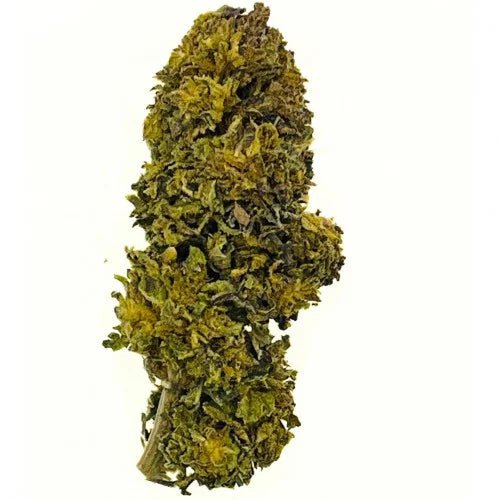 Lifter - Fleurs de CBD 🌱 - La Maison Du Canab