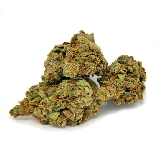 Orange Bud - Fleurs de CBD 🍊 - La Maison Du Canab
