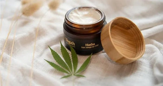 Soin Visage Bio CBD – Hatha – Yogah 🌿✨ - La Maison Du Canab