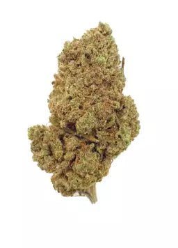Sour Tsunami - Fleurs de CBD 🌿 - La Maison Du Canab
