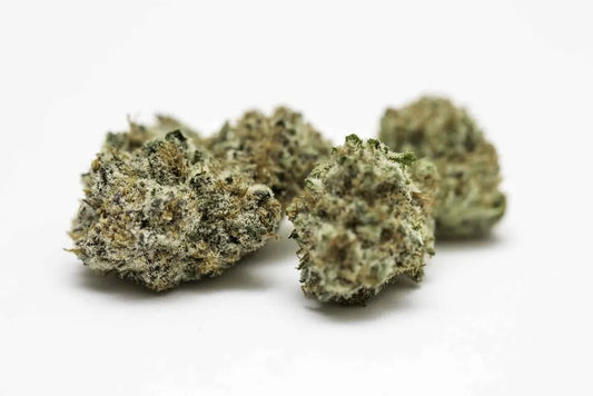 Sunset Sherbet - Fleurs de CBD 🌅🌿 - La Maison Du Canab