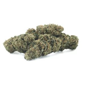 White OG - Fleurs de CBD 🌿 - La Maison Du Canab